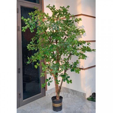 Cây giả decor thiên lộc 250cm